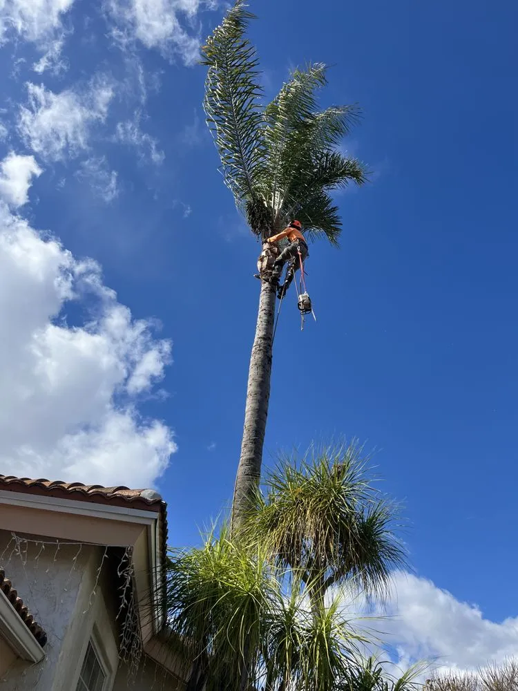 Custom garden landscaping in Bonsall, CA by Environmental Tree Service and Landscape