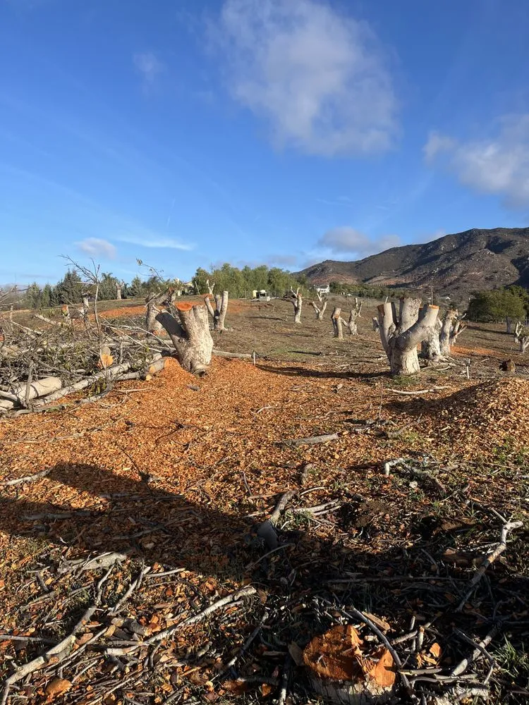 Affordable garden landscaping experts serving Bonsall, CA - Environmental Tree Service and Landscape