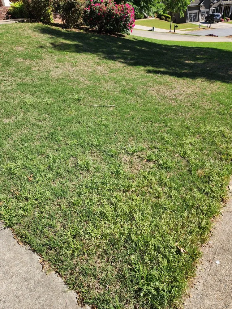 Trusted lawn mowing service in Loganville, GA by Environmental Turf Management