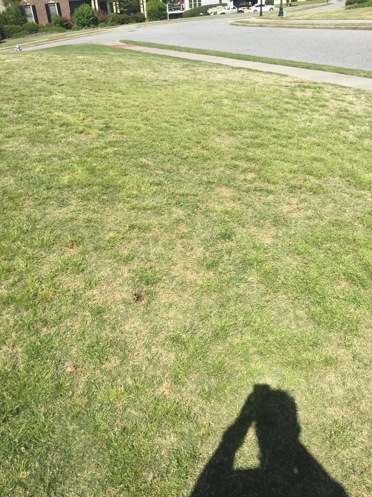 Top-rated outdoor landscaping in Loganville, GA by Environmental Turf Management