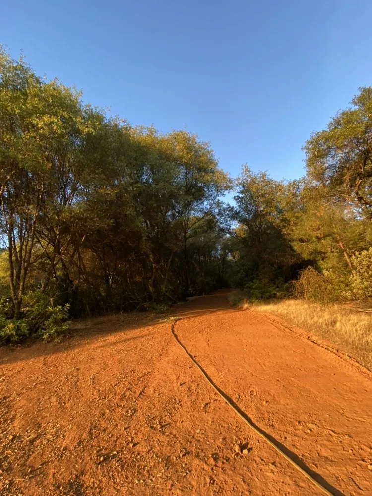 Top-rated lawn mowing service experts serving Hood River, OR - Environmentally Experienced