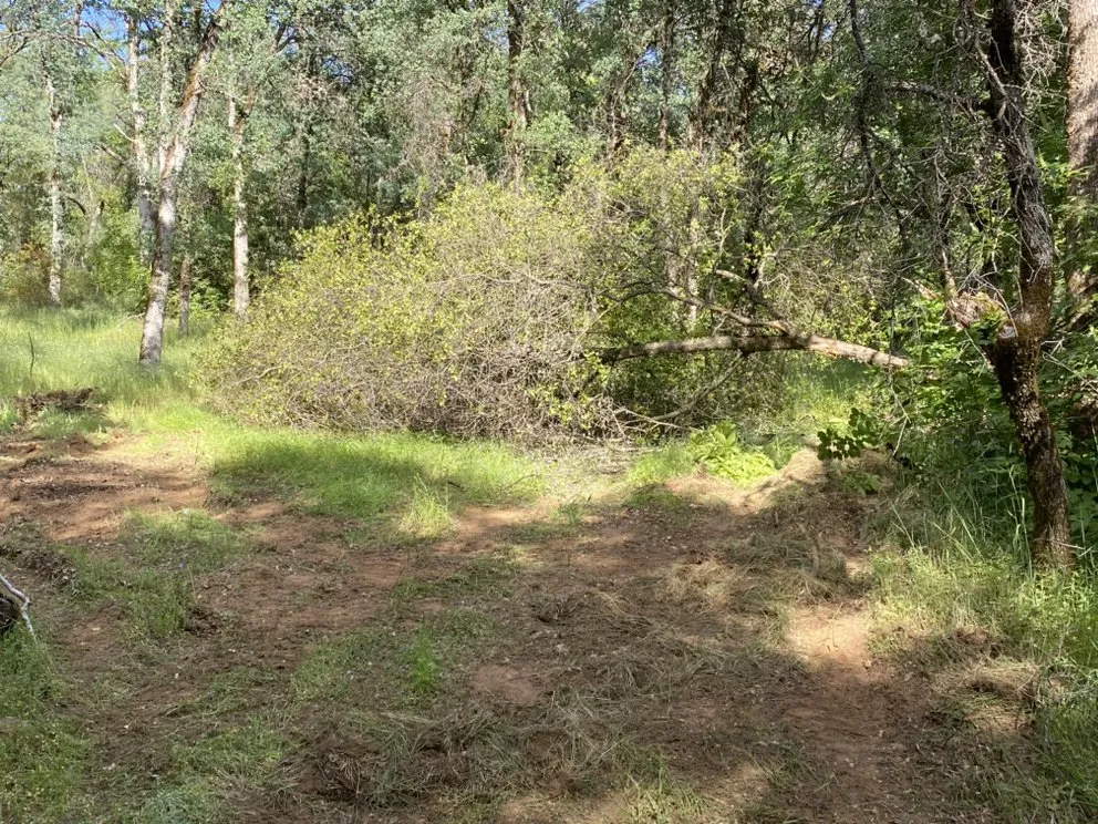 Reliable residential landscaping for beautiful yards in Hood River, OR by Environmentally Experienced