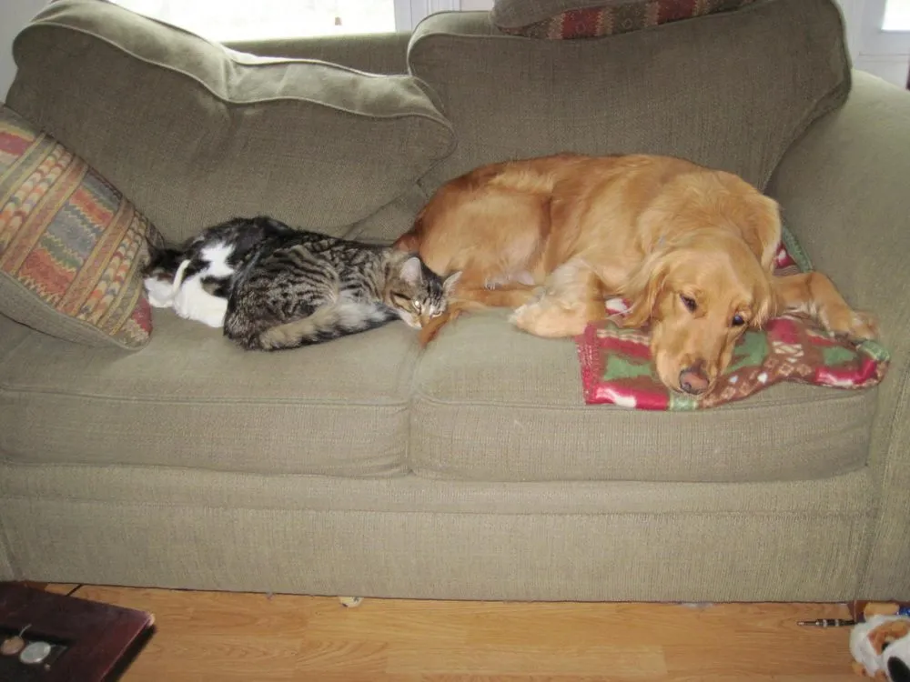 Professional lawn care service for outdoor upgrades across Bolton, MA - Environments By Design