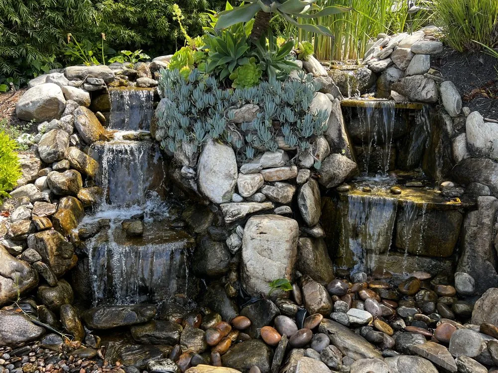 Custom landscape design for residential properties across Torrance, CA - Enviroscape LA