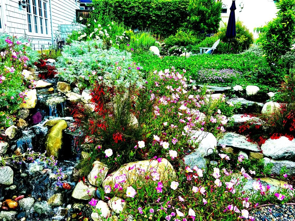 Trusted landscaping services in Torrance, CA - Enviroscape LA