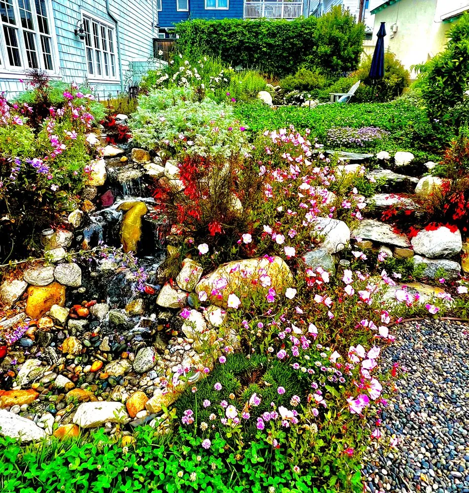 Expert yard cleanup service near you in Torrance, CA by Enviroscape LA