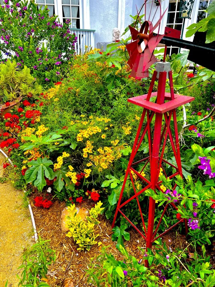 Affordable yard maintenance for residential properties across Torrance, CA - Enviroscape LA