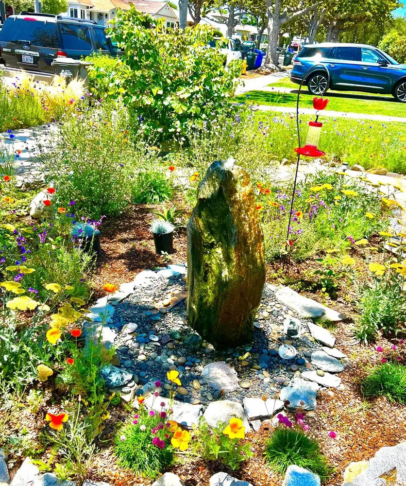 Custom lawn care service experts serving Torrance, CA - Enviroscape LA