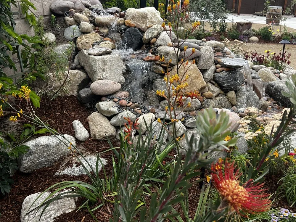 Custom outdoor landscaping in Torrance, CA by Enviroscape LA