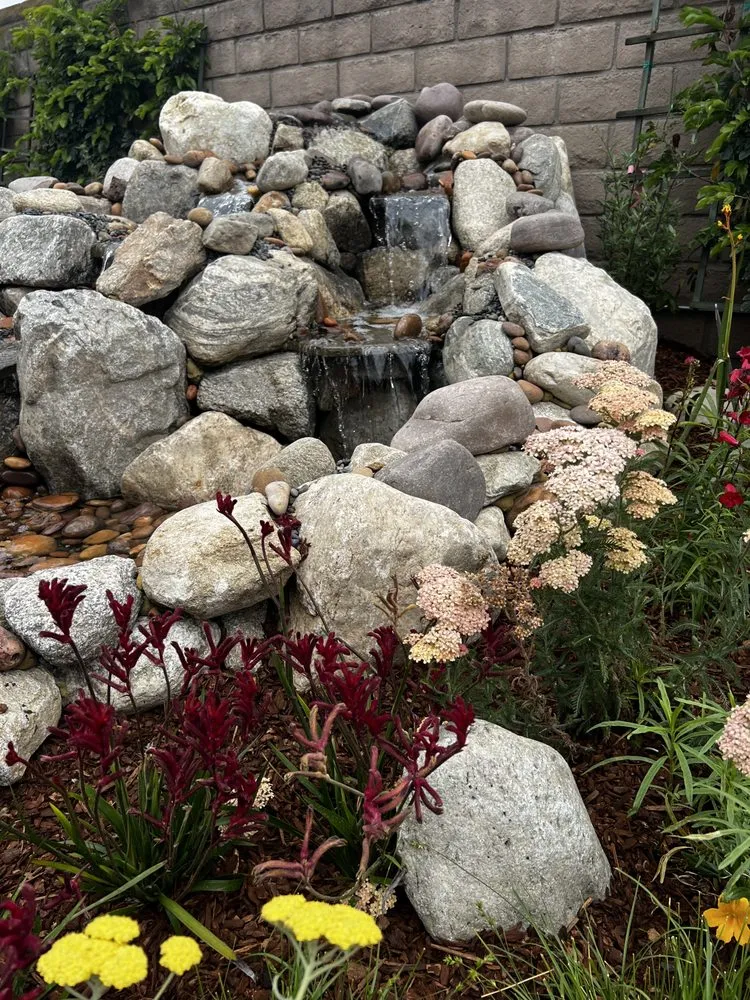 Top-rated lawn care service near you in Torrance, CA by Enviroscape LA