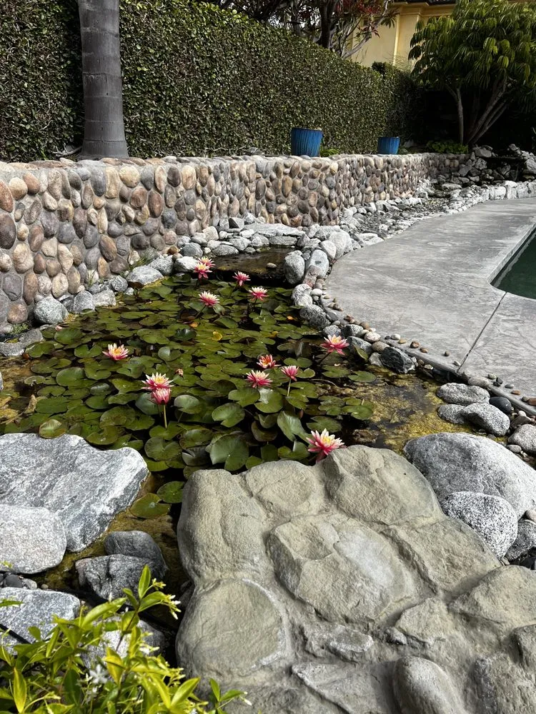 Expert landscaping services experts serving Torrance, CA - Enviroscape LA