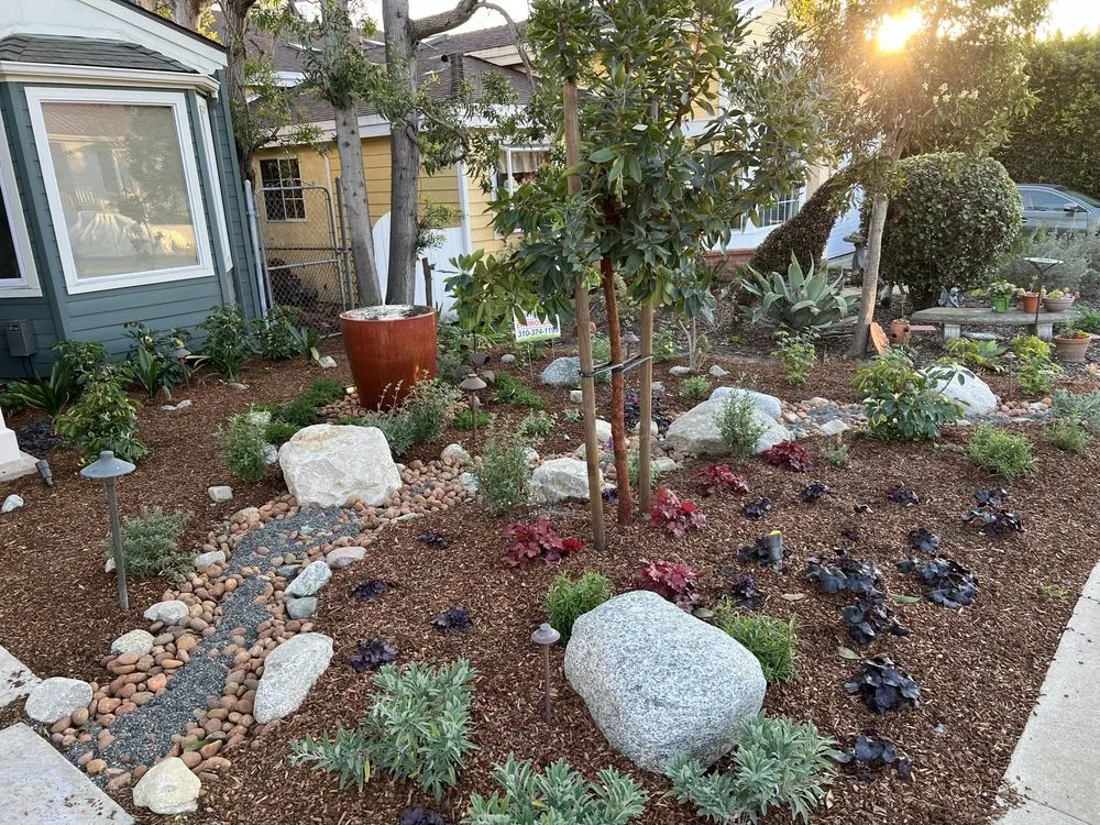 Top-rated landscape installation in Torrance, CA by Enviroscape LA