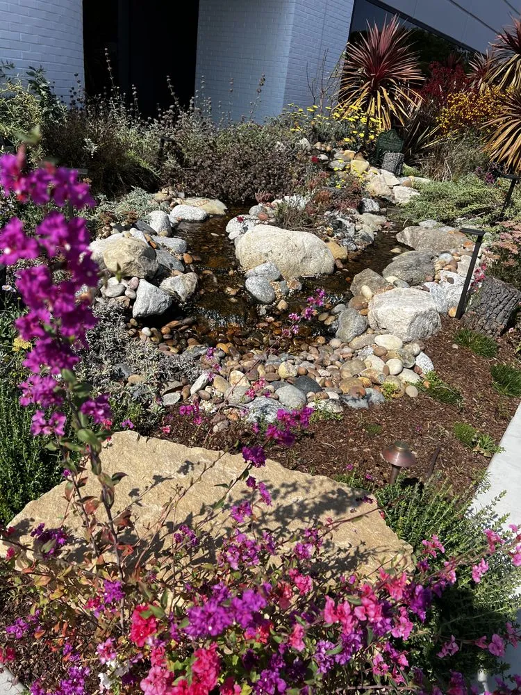 Expert landscape design experts serving Torrance, CA - Enviroscape LA