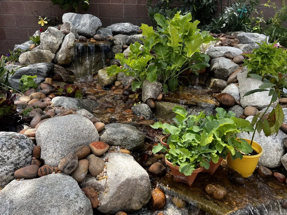 Professional outdoor landscaping in Torrance, CA - Enviroscape LA