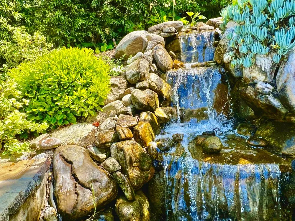 Local landscaping services in Torrance, CA - Enviroscape LA