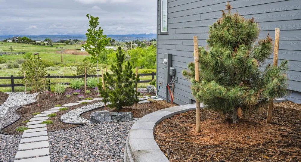 Top-rated yard cleanup service near you in Arvada, CO by Enviroscapes