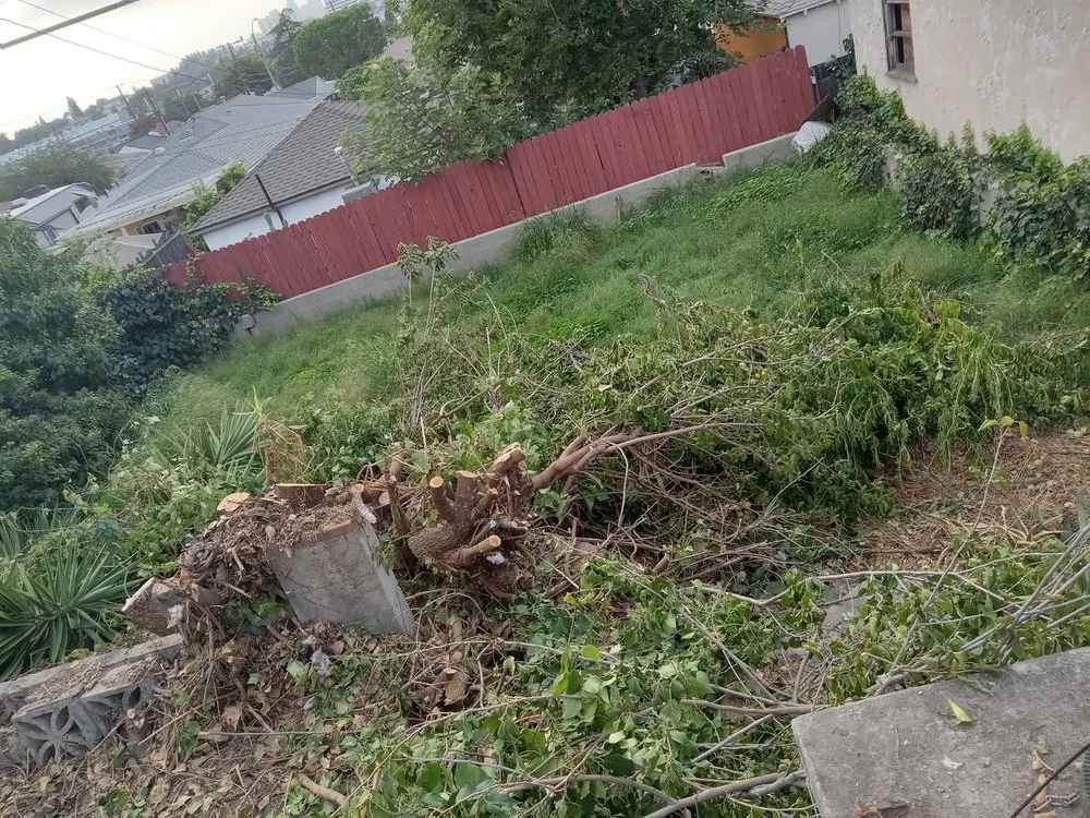 Custom landscaping services experts serving La Puente, CA - Enviroscaping