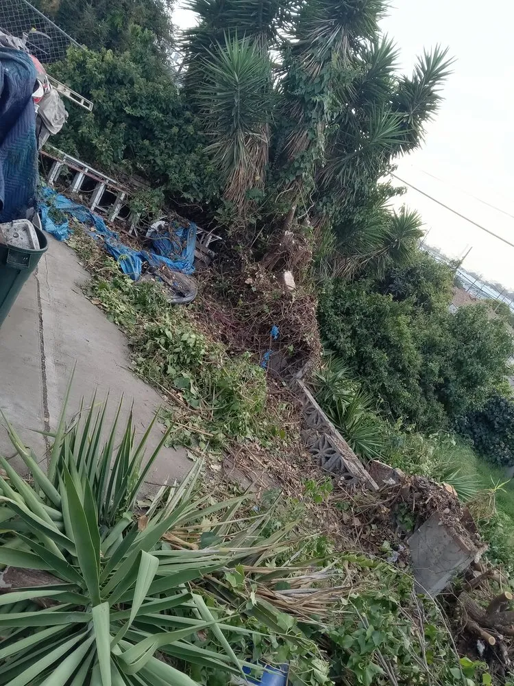 Expert outdoor landscaping experts serving La Puente, CA - Enviroscaping