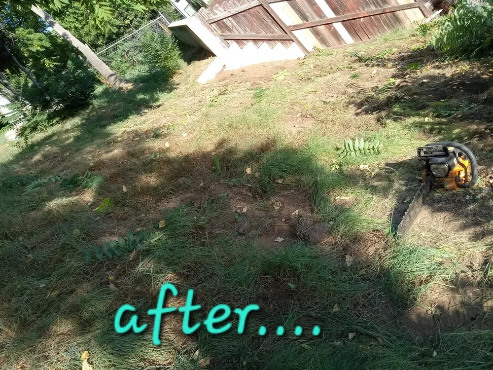 Expert landscape installation in La Puente, CA by Enviroscaping