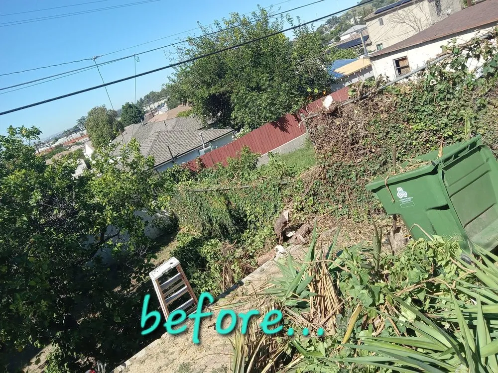 Professional residential landscaping for outdoor upgrades across La Puente, CA - Enviroscaping