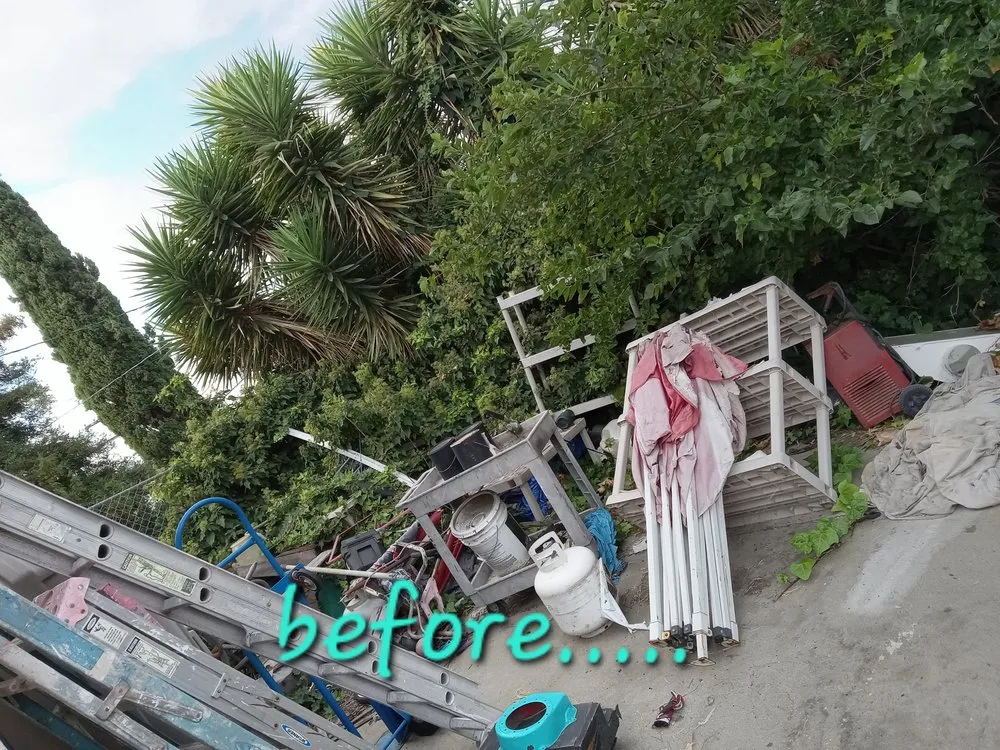 Top-rated yard cleanup service for year-round maintenance across La Puente, CA - Enviroscaping