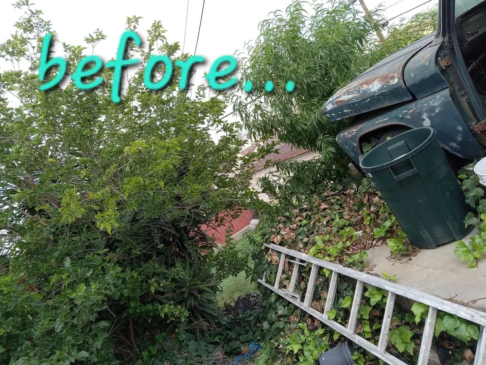 Reliable landscaping services in La Puente, CA - Enviroscaping