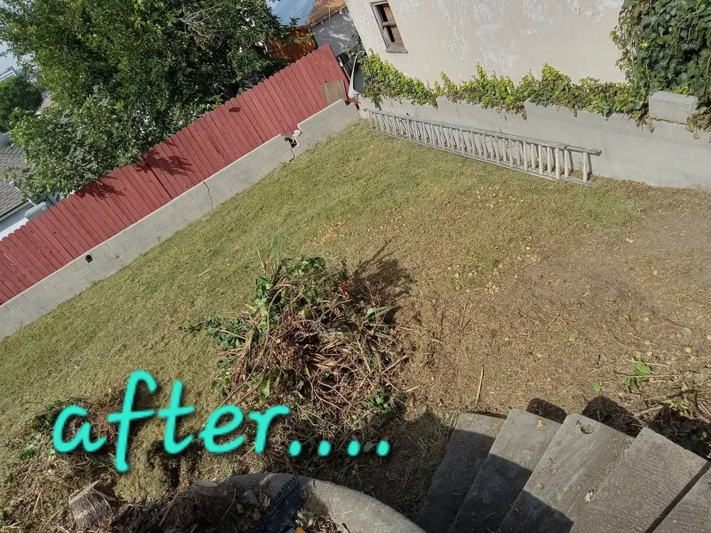 Affordable landscape design for residential properties in La Puente, CA by Enviroscaping