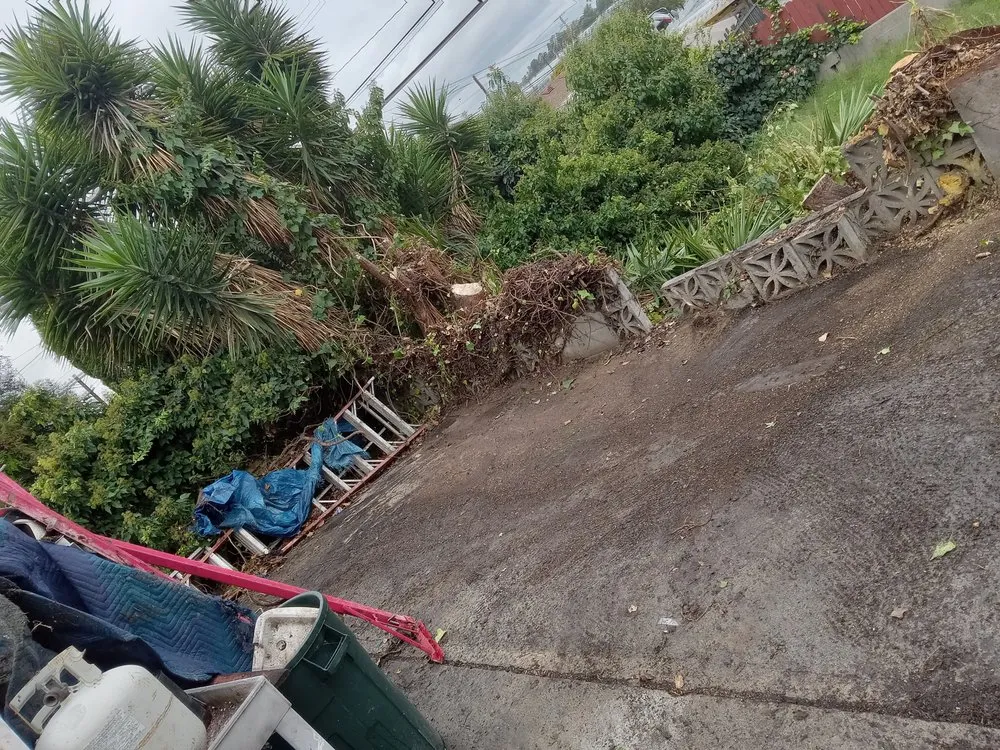 Local yard cleanup service in La Puente, CA - Enviroscaping