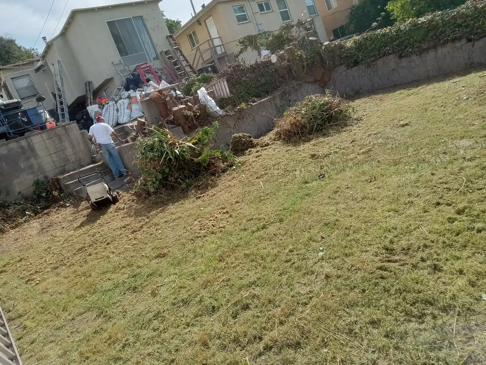 Local yard cleanup service near you across La Puente, CA - Enviroscaping