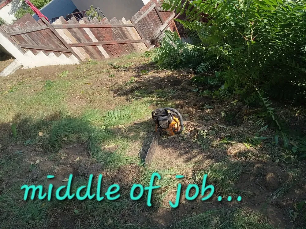 Custom landscape installation near you across La Puente, CA - Enviroscaping