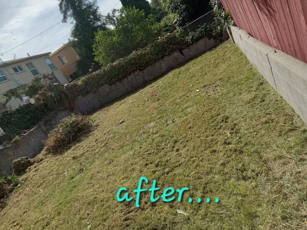 Top-rated lawn care service for outdoor upgrades in La Puente, CA by Enviroscaping