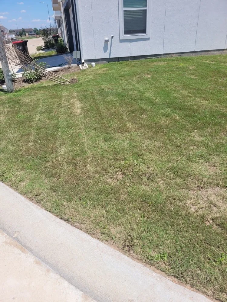 Top-rated landscaping services in Houston, TX by Envirostone Landscaping & Pavers