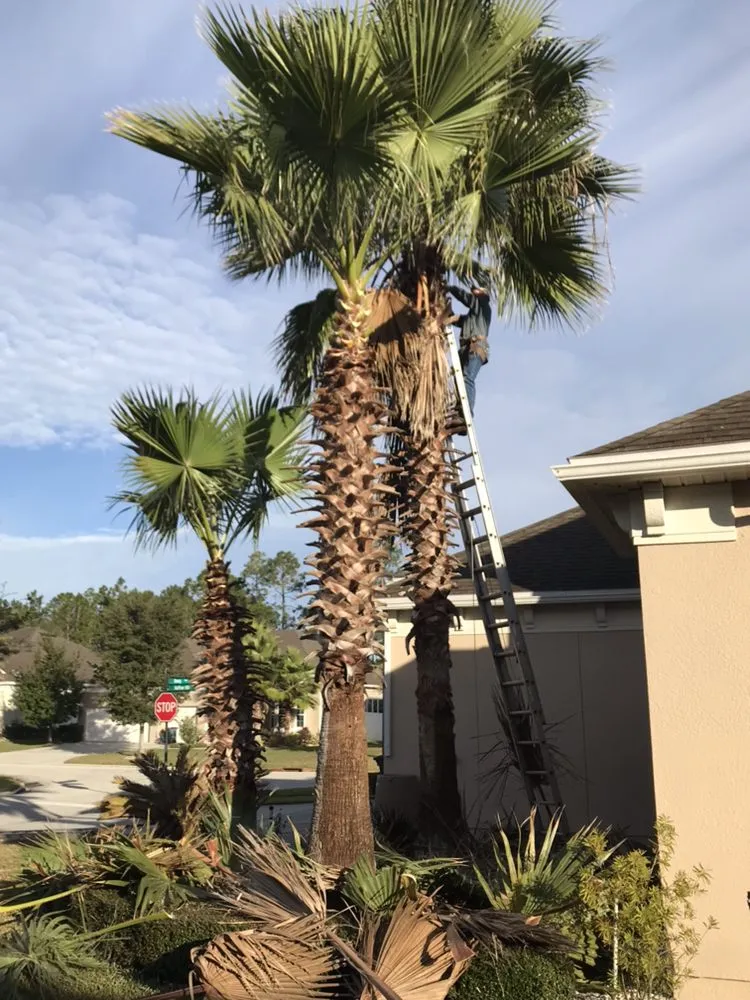 Professional lawn care service in Saint Augustine, FL - EnviroTec Lawn Care