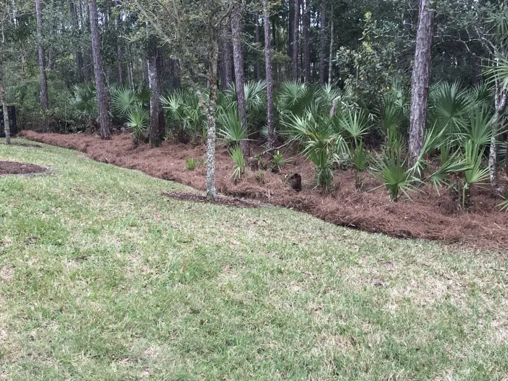 Professional landscape design in Saint Augustine, FL by EnviroTec Lawn Care