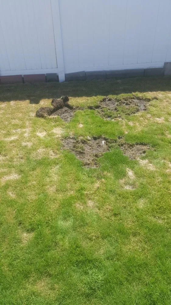 Top-rated landscape design in Leonard, MI - EnviroTurf