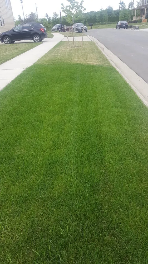 Custom landscaping services in Leonard, MI by EnviroTurf