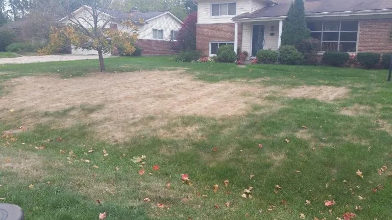 Affordable lawn mowing service in Leonard, MI by EnviroTurf