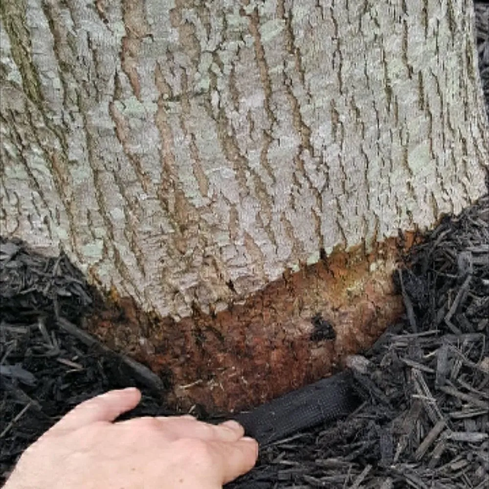 Expert garden landscaping in Leonard, MI - EnviroTurf