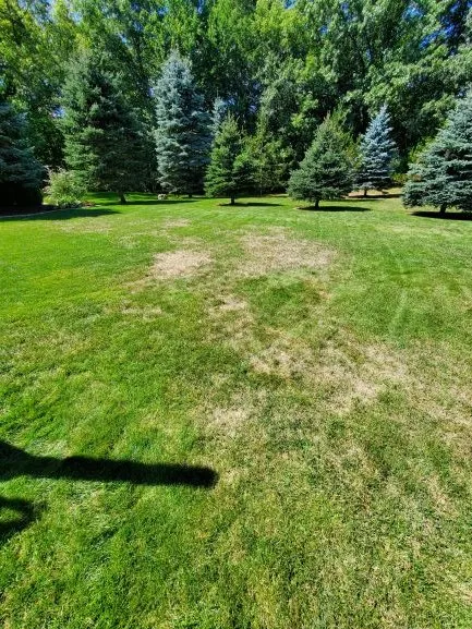 Custom landscape design experts serving Leonard, MI - EnviroTurf