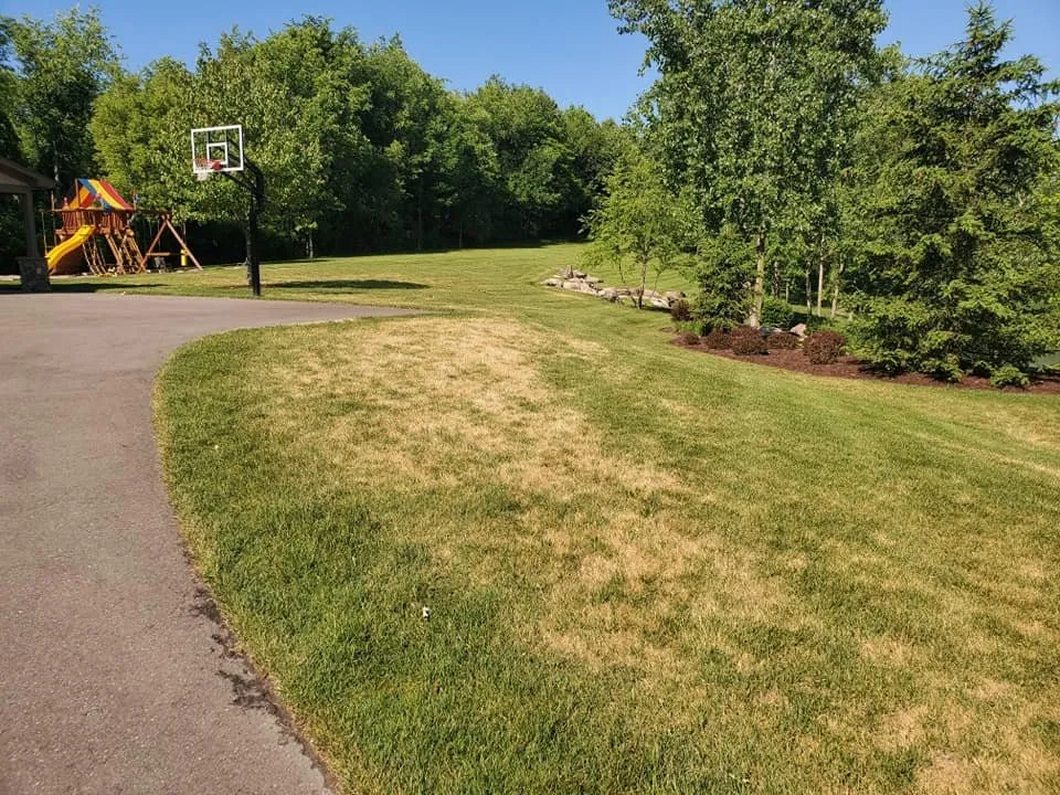 Affordable residential landscaping for outdoor upgrades in Leonard, MI by EnviroTurf