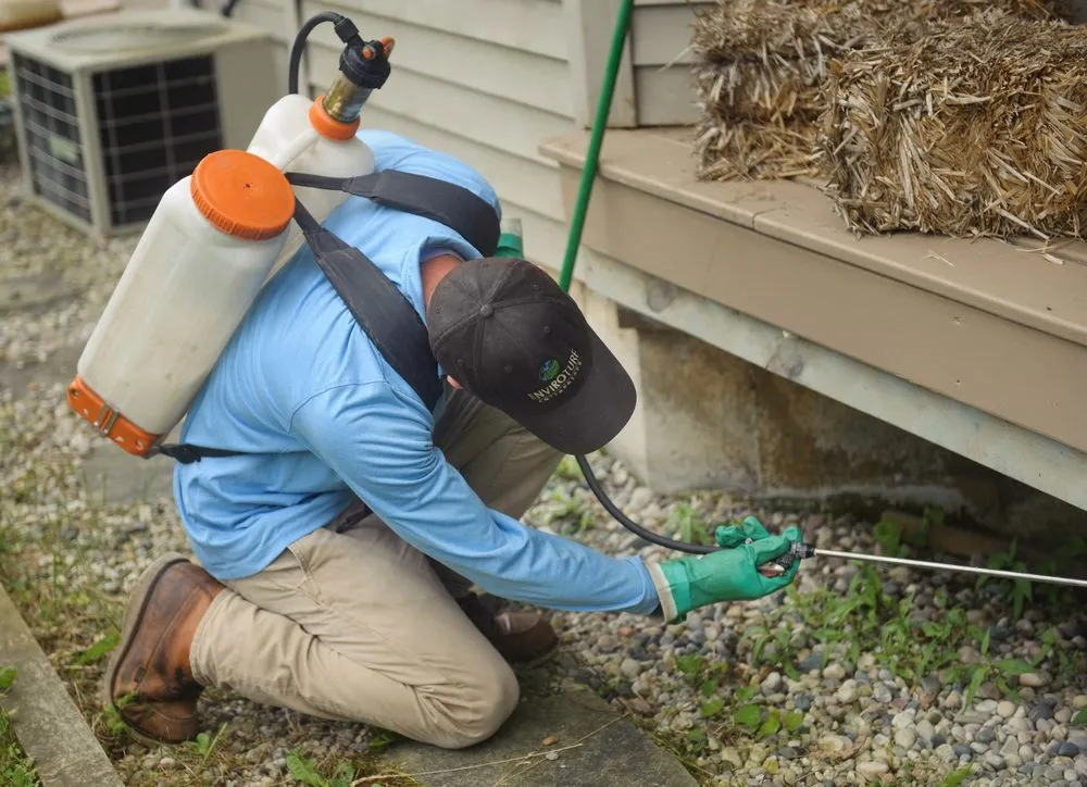 Expert yard cleanup service in Leonard, MI - EnviroTurf