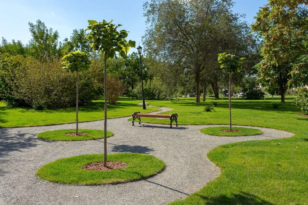 Trusted lawn mowing service for year-round maintenance in Portsmouth, VA by EnviroVerse Landscaping