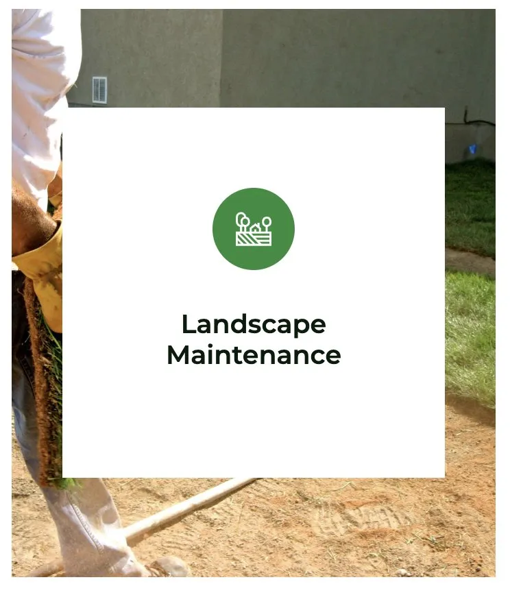 Affordable garden landscaping with custom design across Portsmouth, VA - EnviroVerse Landscaping