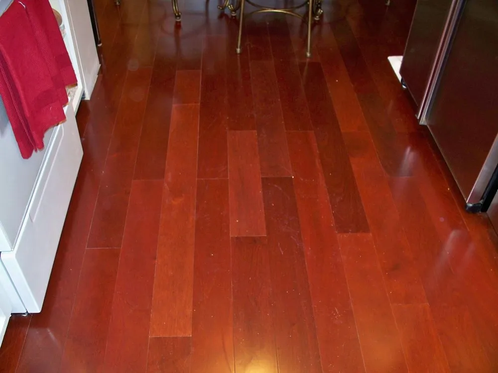 Local residential landscaping for year-round maintenance in Minneapolis, MN by Envision Construction Remodeling and Landscaping