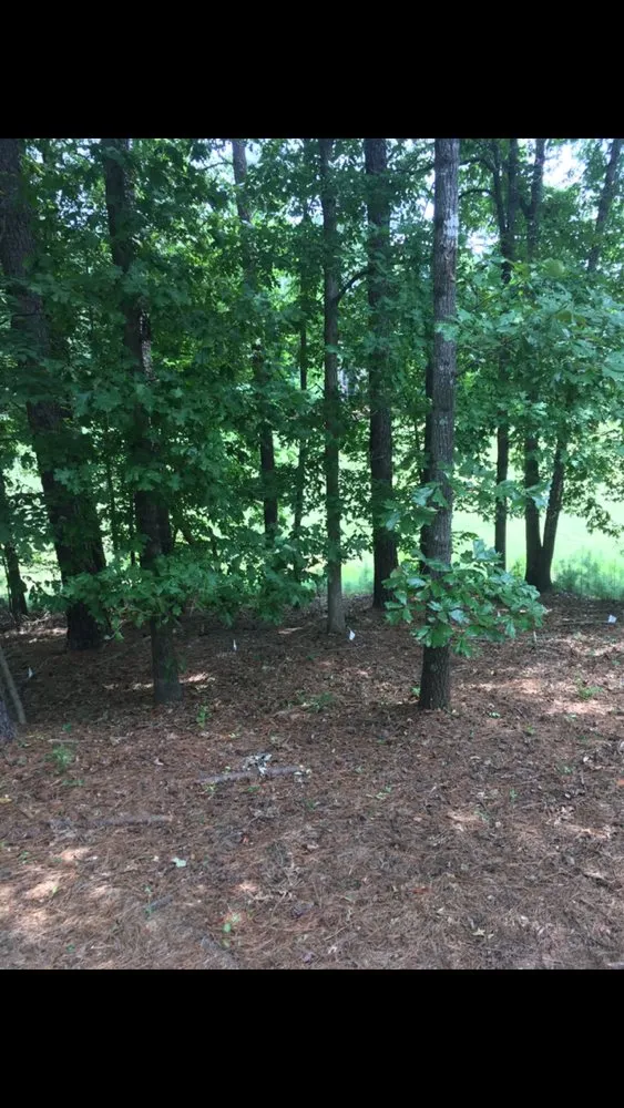 Trusted landscape design in Woodstock, GA by Envision Full Service Lawn Care