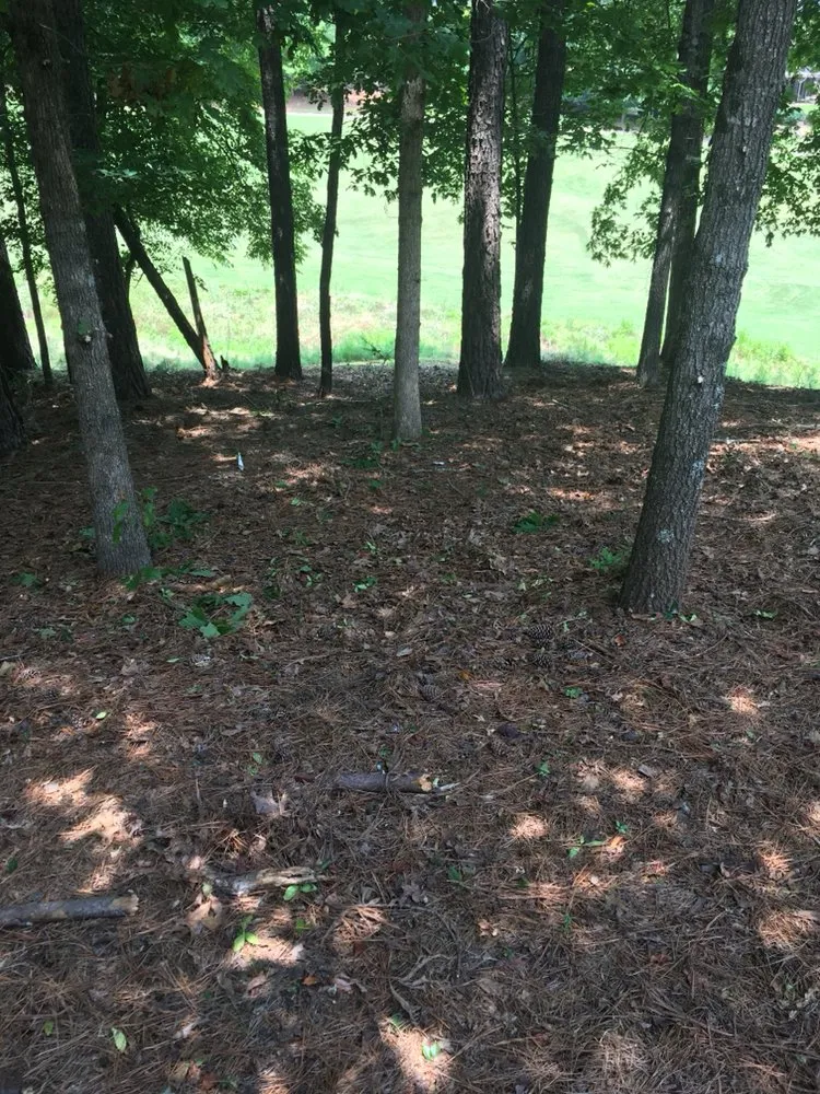 Reliable residential landscaping in Woodstock, GA by Envision Full Service Lawn Care