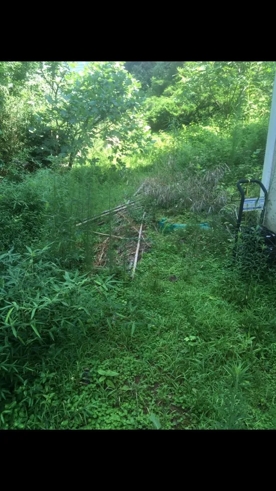 Reliable garden landscaping for year-round maintenance in Woodstock, GA by Envision Full Service Lawn Care