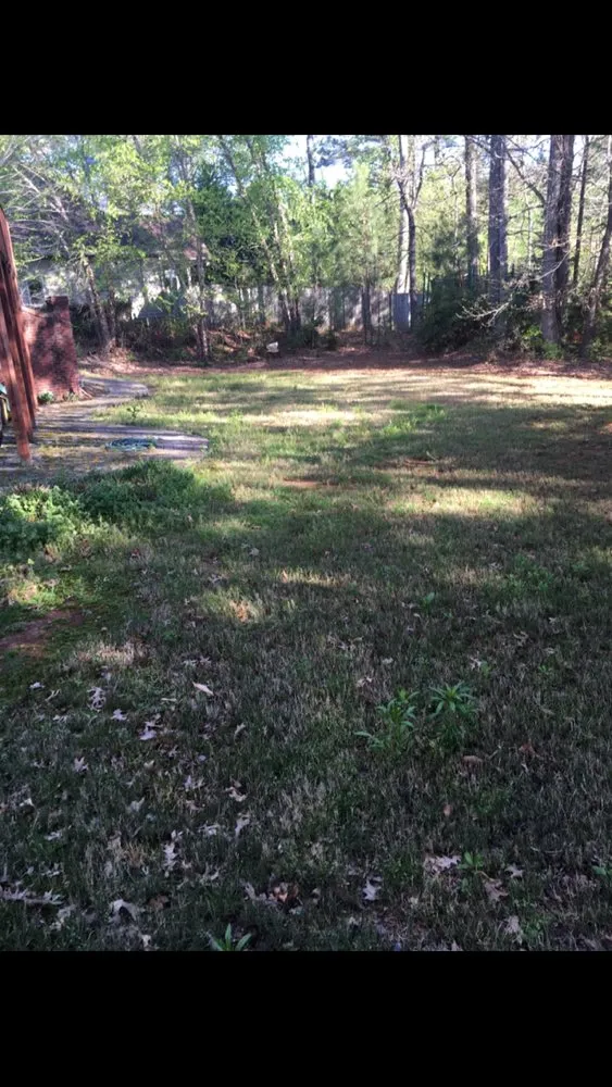 Professional residential landscaping in Woodstock, GA by Envision Full Service Lawn Care