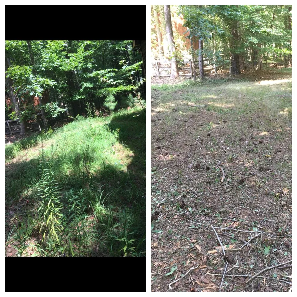 Reliable landscape installation for year-round maintenance in Woodstock, GA by Envision Full Service Lawn Care