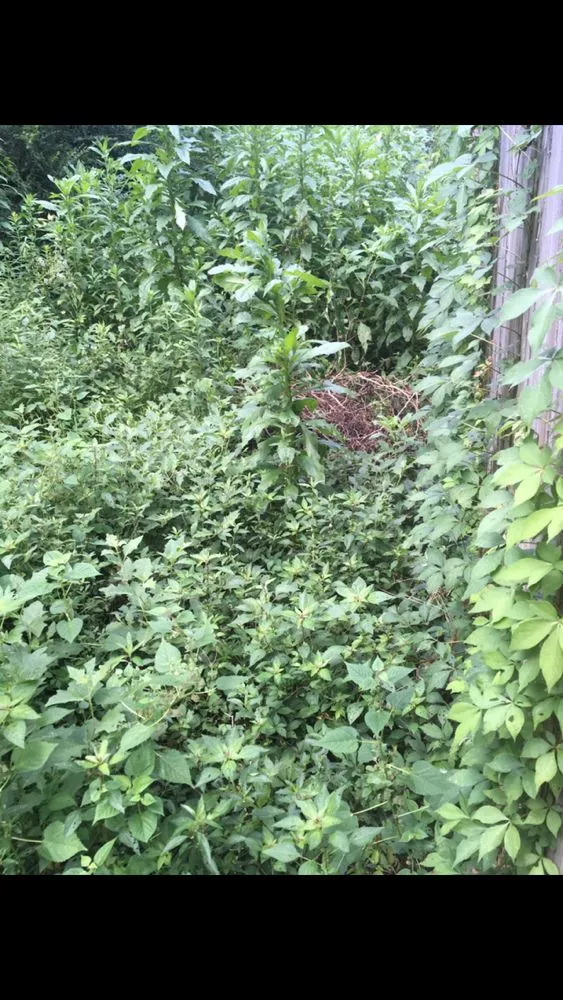 Professional outdoor landscaping in Woodstock, GA - Envision Full Service Lawn Care